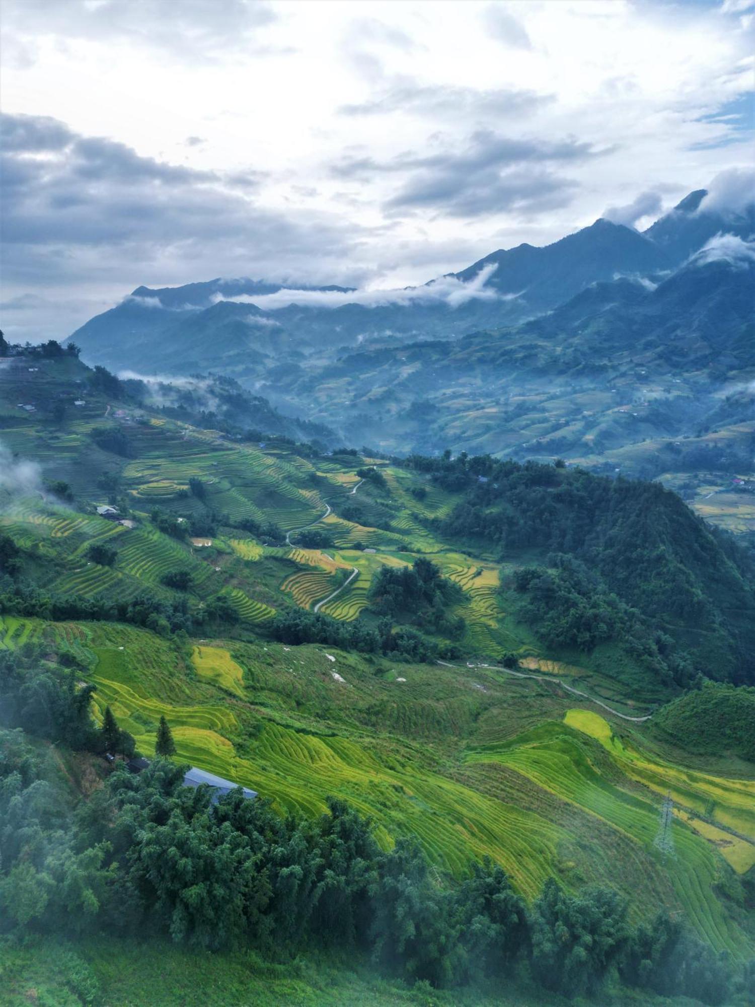 Phansi - Glamping, View Point 360, Bar & Bbq Sapa Exterior foto